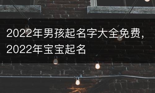 2022年男孩起名字大全免费，2022年宝宝起名
