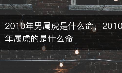 2010年男属虎是什么命，2010年属虎的是什么命