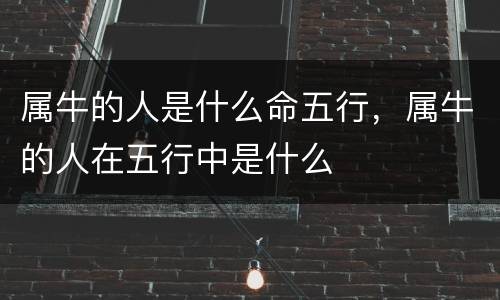 属牛的人是什么命五行，属牛的人在五行中是什么