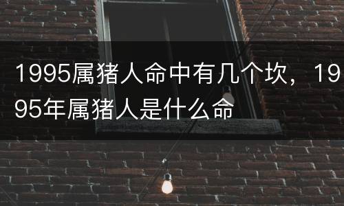 1995属猪人命中有几个坎，1995年属猪人是什么命