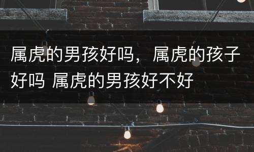 属虎的男孩好吗，属虎的孩子好吗 属虎的男孩好不好