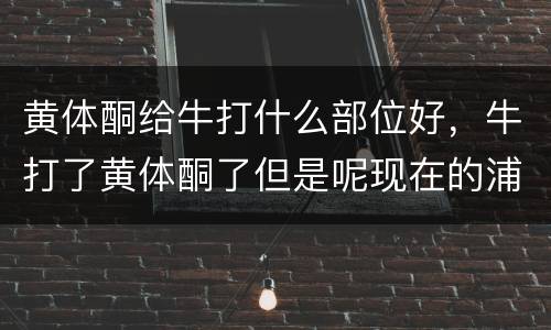 黄体酮给牛打什么部位好，牛打了黄体酮了但是呢现在的浦江水了看看怎么办