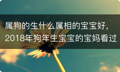 属狗的生什么属相的宝宝好，2018年狗年生宝宝的宝妈看过来，