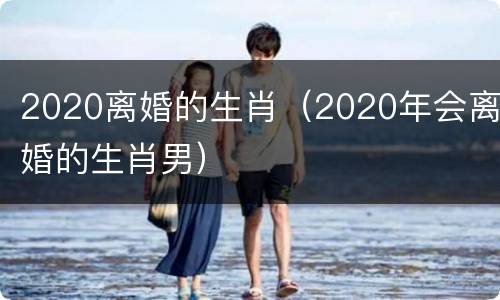 2020离婚的生肖（2020年会离婚的生肖男）