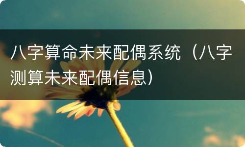 八字算命未来配偶系统（八字测算未来配偶信息）