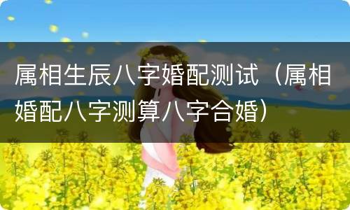 属相生辰八字婚配测试（属相婚配八字测算八字合婚）