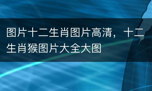 图片十二生肖图片高清，十二生肖猴图片大全大图