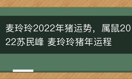 麦玲玲2022年猪运势，属鼠2022苏民峰 麦玲玲猪年运程