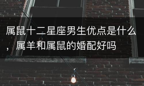 属鼠十二星座男生优点是什么，属羊和属鼠的婚配好吗