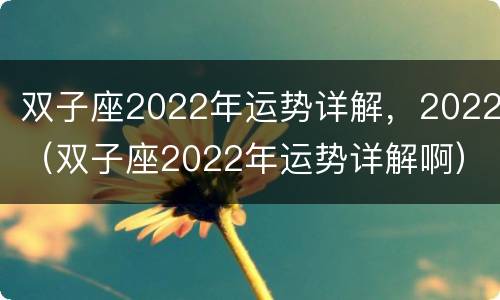 双子座2022年运势详解，2022（双子座2022年运势详解啊）
