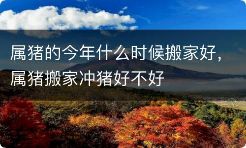 属猪的今年什么时候搬家好，属猪搬家冲猪好不好