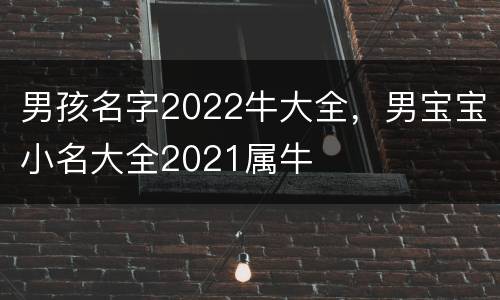 男孩名字2022牛大全，男宝宝小名大全2021属牛