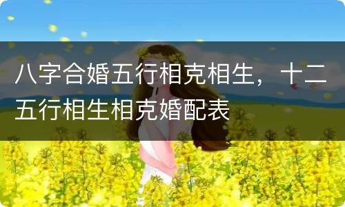 八字合婚五行相克相生，十二五行相生相克婚配表