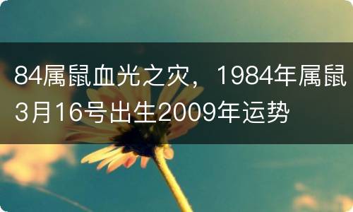 84属鼠血光之灾，1984年属鼠3月16号出生2009年运势