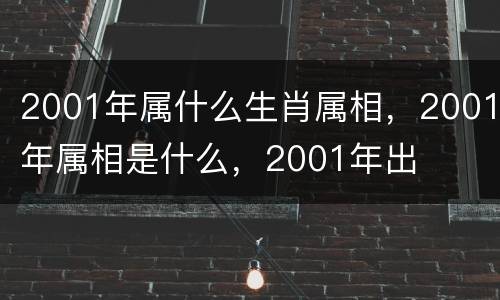 2001年属什么生肖属相，2001年属相是什么，2001年出