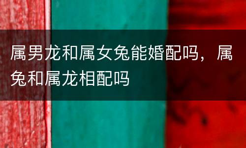 属男龙和属女兔能婚配吗，属兔和属龙相配吗