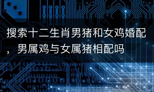 搜索十二生肖男猪和女鸡婚配，男属鸡与女属猪相配吗