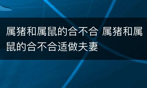 属猪和属鼠的合不合 属猪和属鼠的合不合适做夫妻