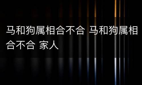 马和狗属相合不合 马和狗属相合不合 家人