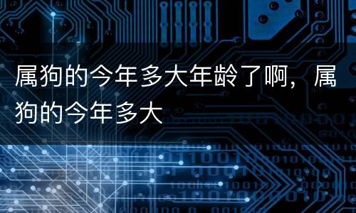 属狗的今年多大年龄了啊，属狗的今年多大