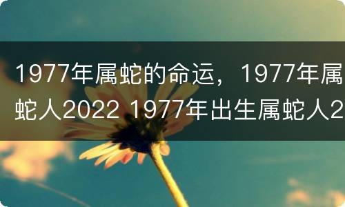 1977年属蛇的命运，1977年属蛇人2022 1977年出生属蛇人2022年运势