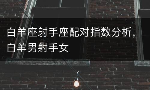 白羊座射手座配对指数分析，白羊男射手女