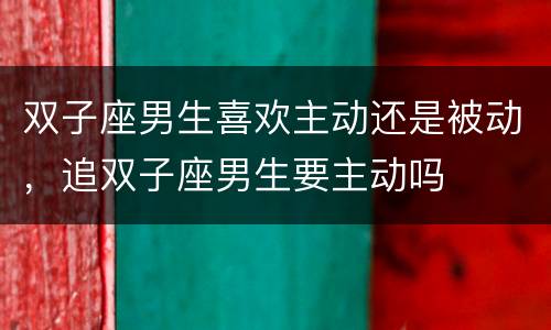 双子座男生喜欢主动还是被动，追双子座男生要主动吗