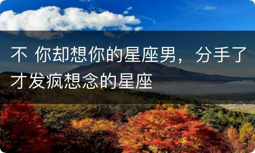 不 你却想你的星座男，分手了才发疯想念的星座