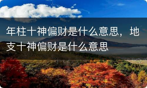 年柱十神偏财是什么意思，地支十神偏财是什么意思