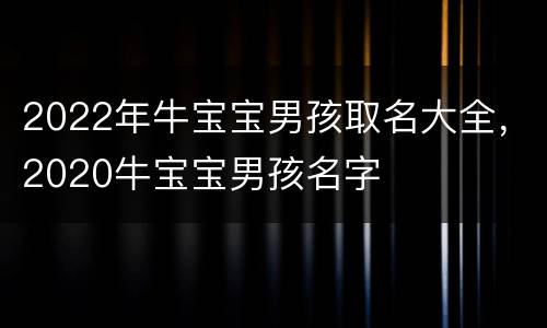 2022年牛宝宝男孩取名大全，2020牛宝宝男孩名字