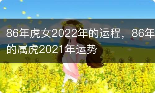 86年虎女2022年的运程，86年的属虎2021年运势