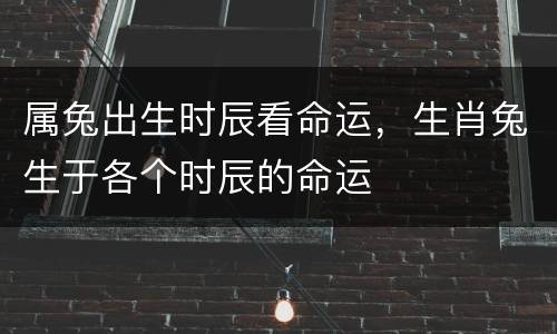 属兔出生时辰看命运，生肖兔生于各个时辰的命运