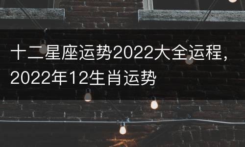 十二星座运势2022大全运程，2022年12生肖运势