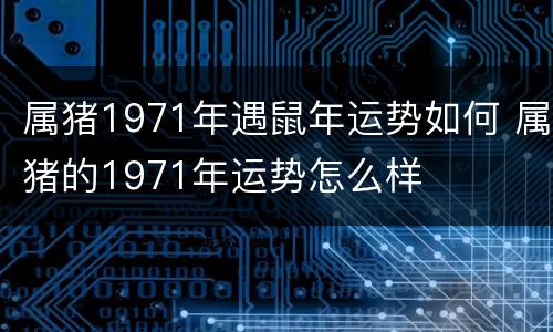 属猪1971年遇鼠年运势如何 属猪的1971年运势怎么样