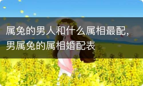 属兔的男人和什么属相最配，男属兔的属相婚配表