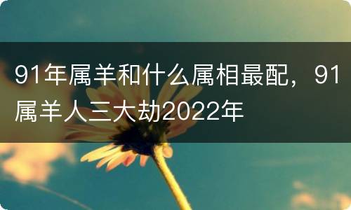 91年属羊和什么属相最配，91属羊人三大劫2022年