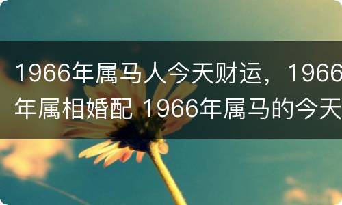 1966年属马人今天财运，1966年属相婚配 1966年属马的今天运气如何