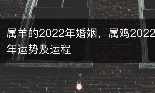 属羊的2022年婚姻，属鸡2022年运势及运程
