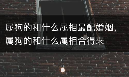 属狗的和什么属相最配婚姻，属狗的和什么属相合得来