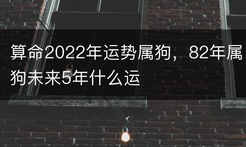 算命2022年运势属狗，82年属狗未来5年什么运