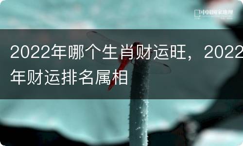2022年哪个生肖财运旺，2022年财运排名属相