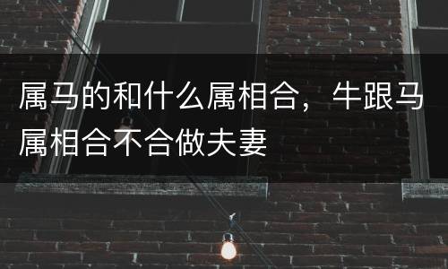 属马的和什么属相合，牛跟马属相合不合做夫妻