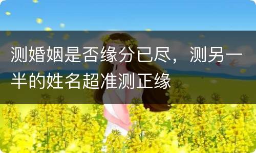 测婚姻是否缘分已尽，测另一半的姓名超准测正缘