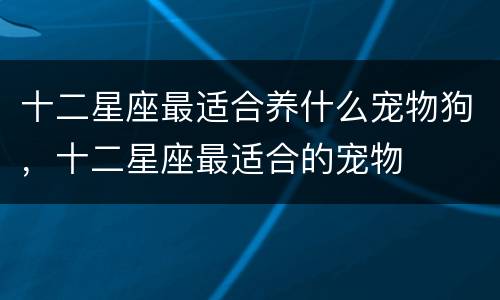 十二星座最适合养什么宠物狗，十二星座最适合的宠物