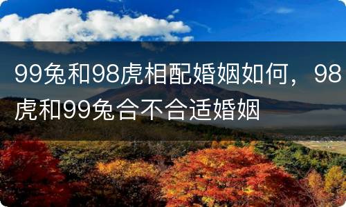 99兔和98虎相配婚姻如何，98虎和99兔合不合适婚姻