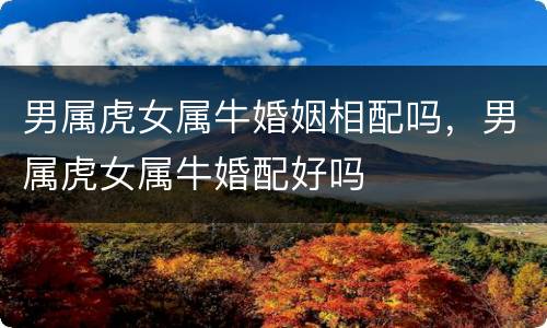 男属虎女属牛婚姻相配吗，男属虎女属牛婚配好吗