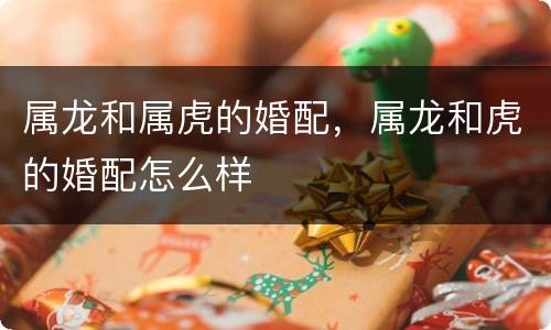 属龙和属虎的婚配，属龙和虎的婚配怎么样
