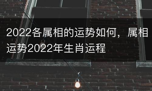 2022各属相的运势如何，属相运势2022年生肖运程