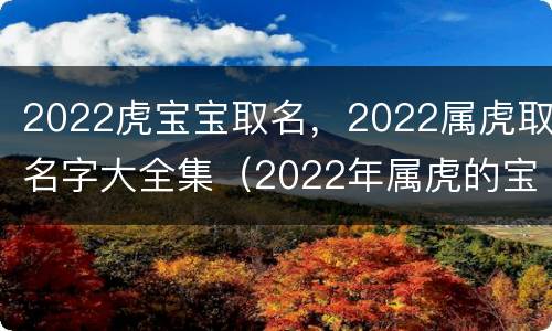2022虎宝宝取名，2022属虎取名字大全集（2022年属虎的宝宝取名）