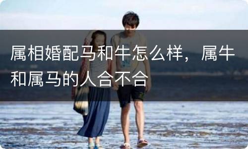 属相婚配马和牛怎么样，属牛和属马的人合不合